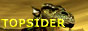 Topsider