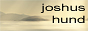Joshus Hund