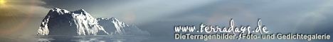 Banner - Terradays